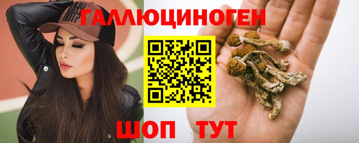 Галлюциногенные грибы GOLDEN TEACHER  Вход с VPN  Галлюциногенные грибы Psilocybine cubensis  Железногорск 